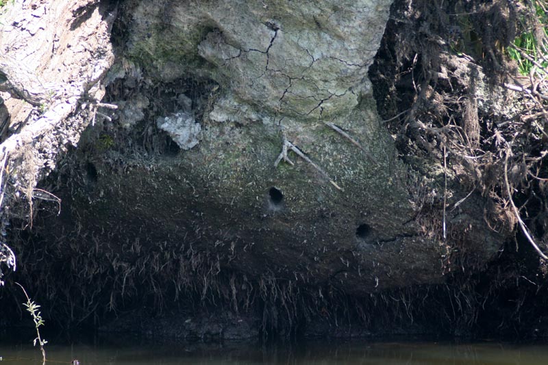 Killikus&reg; Fotographie